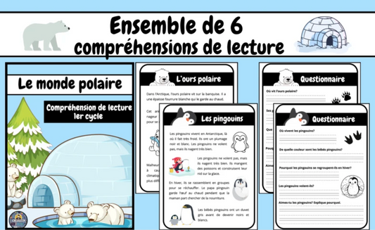 Compréhension de lecture (Le monde polaire)