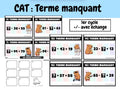 CAT (Les termes manquants)